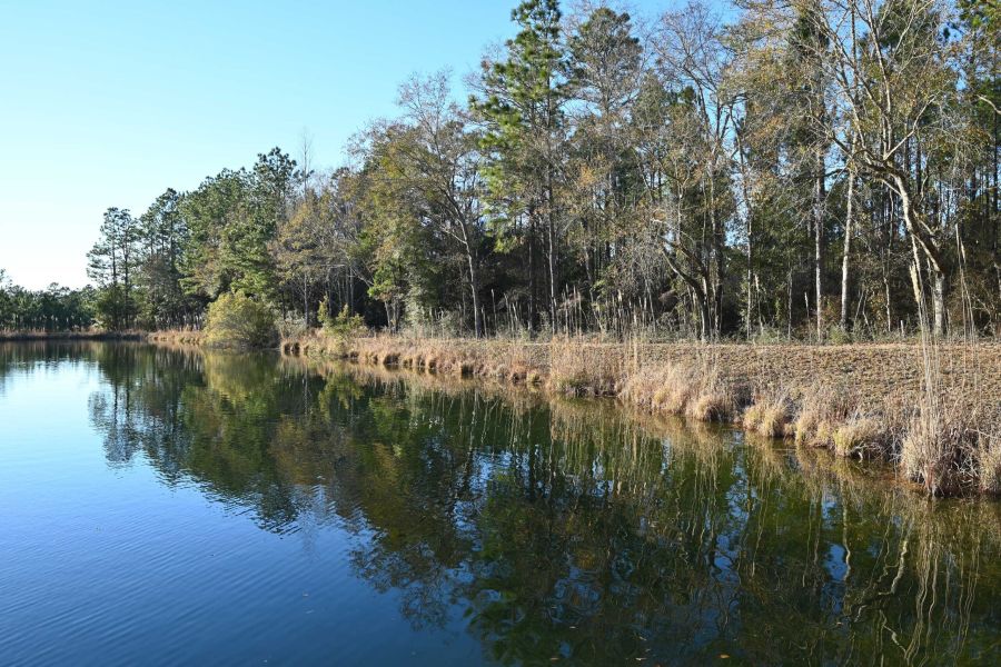 South Laurel Farm Pond