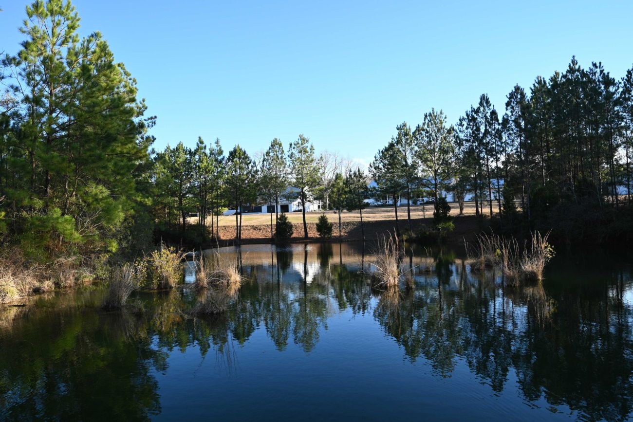 South Laurel Farm Pond