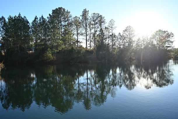 The Pond at South Laurel Farm