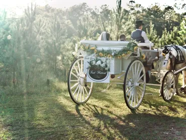 Wedding Gallery Photo