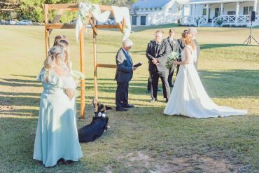 Wedding Gallery Photo